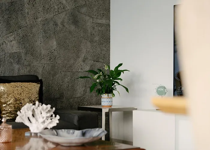 Vv Omara By Hh بويرتو ذيل كارمين